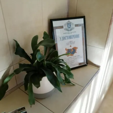 Къща За Гости Елена